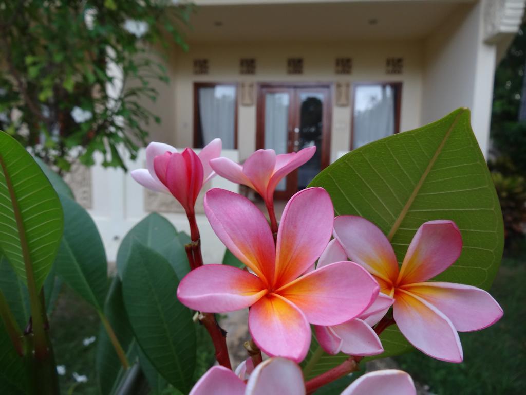 Salim Beach Resort Gili Air Exterior foto